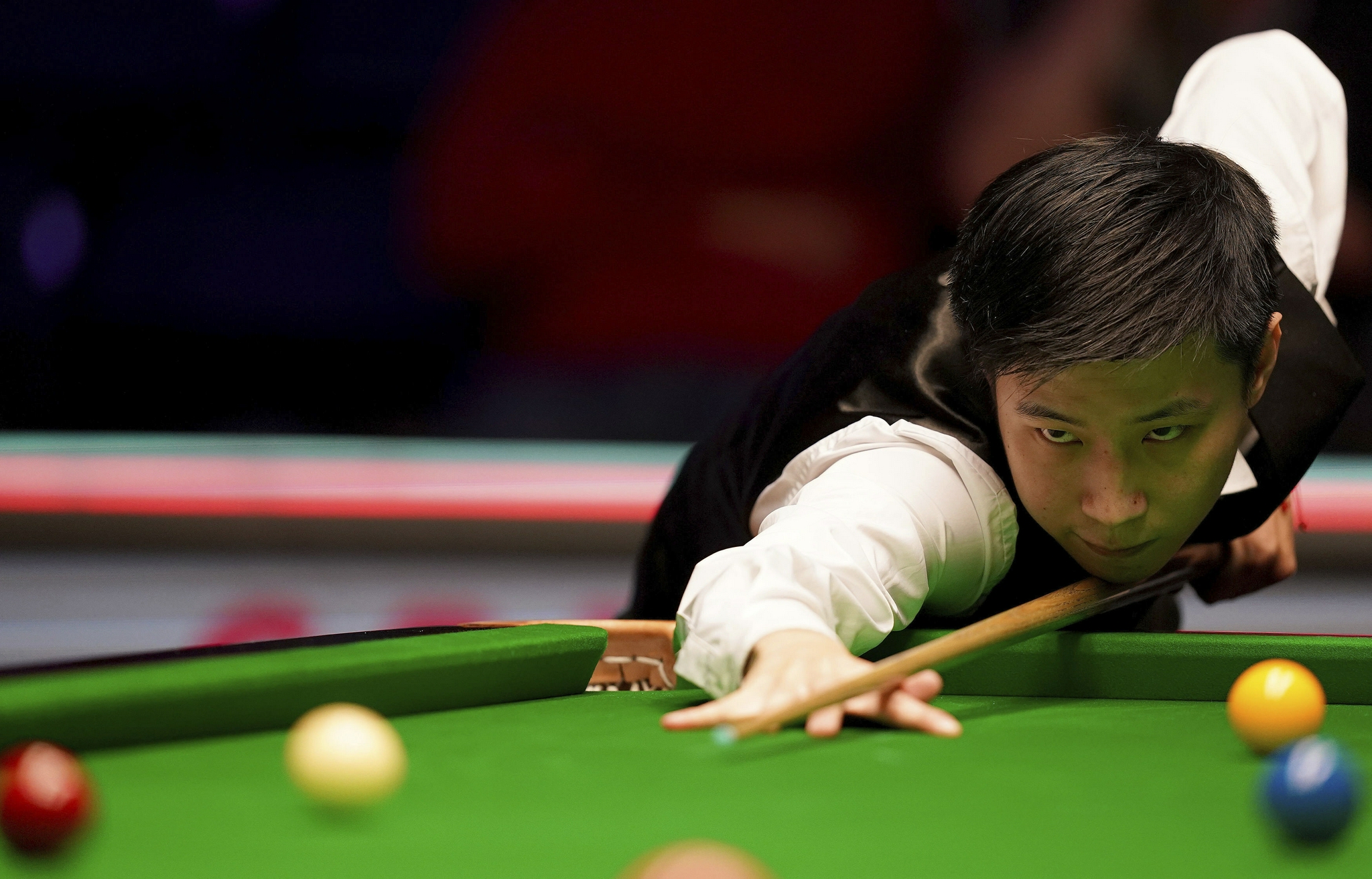 的世界里 的世界里