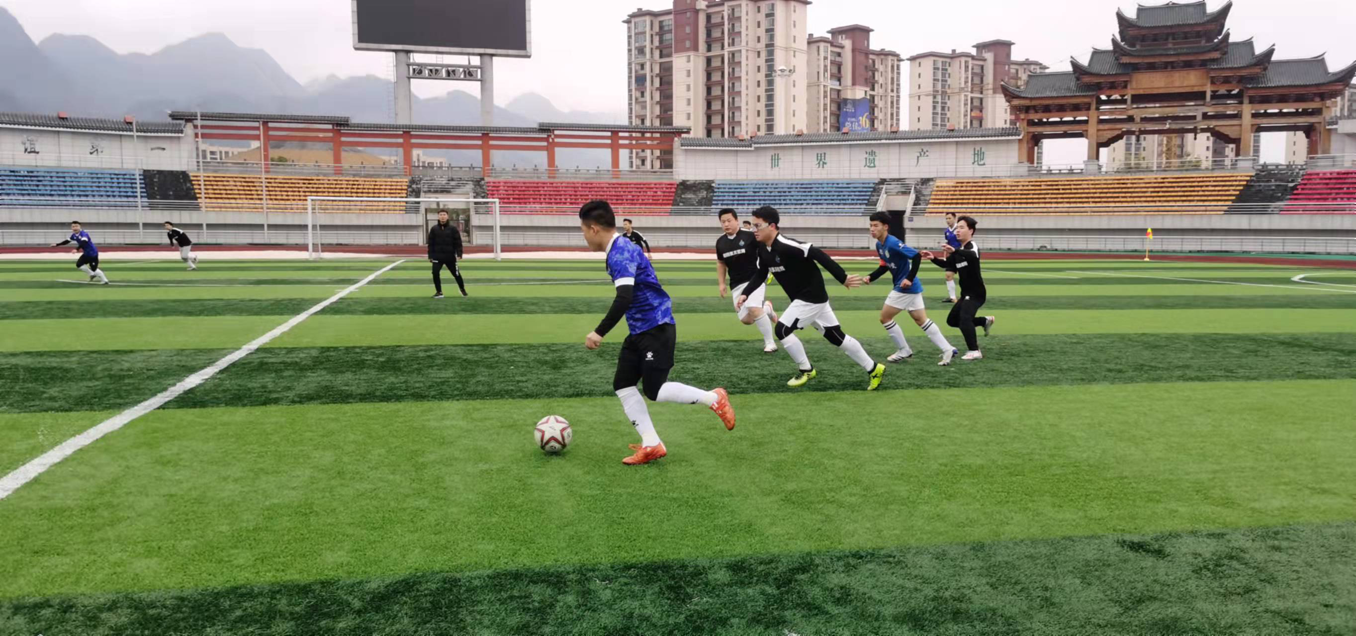 屡见不鲜 屡见不鲜